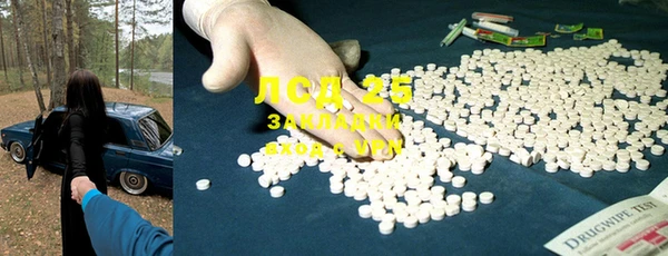 дживик Абинск