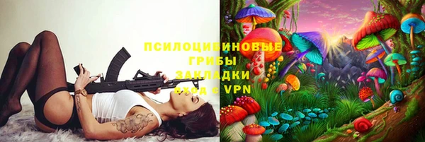 ешки Абаза