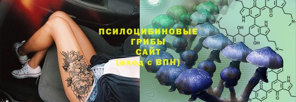 PSILOCYBIN Абдулино