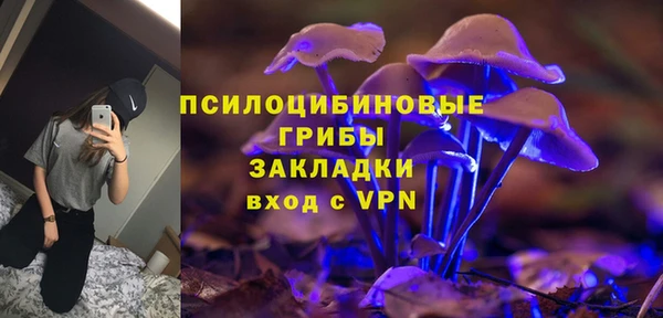 PSILOCYBIN Абдулино