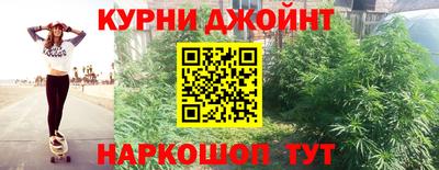 ПСИЛОЦИБИНОВЫЕ ГРИБЫ Кингисепп