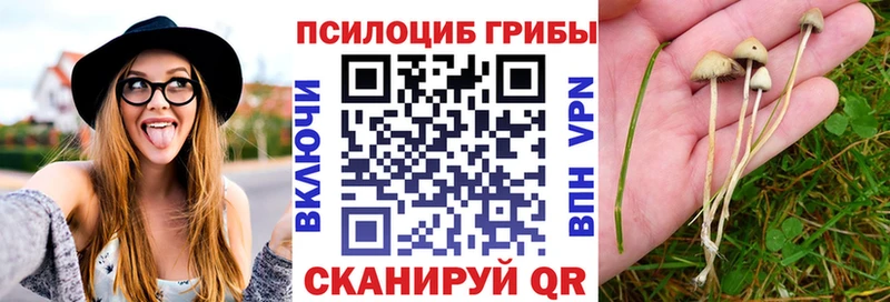 Псилоцибиновые грибы Magic Shrooms  где купить   Ливны 